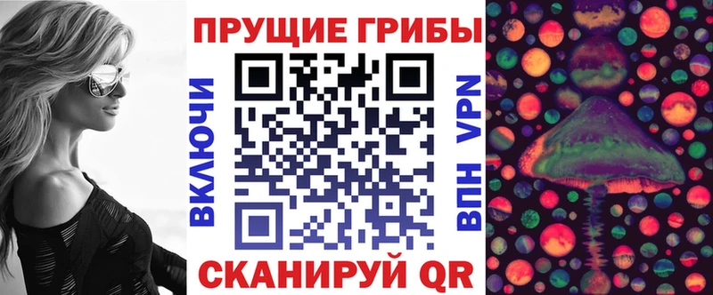 закладка  Волгореченск  Псилоцибиновые грибы прущие грибы 